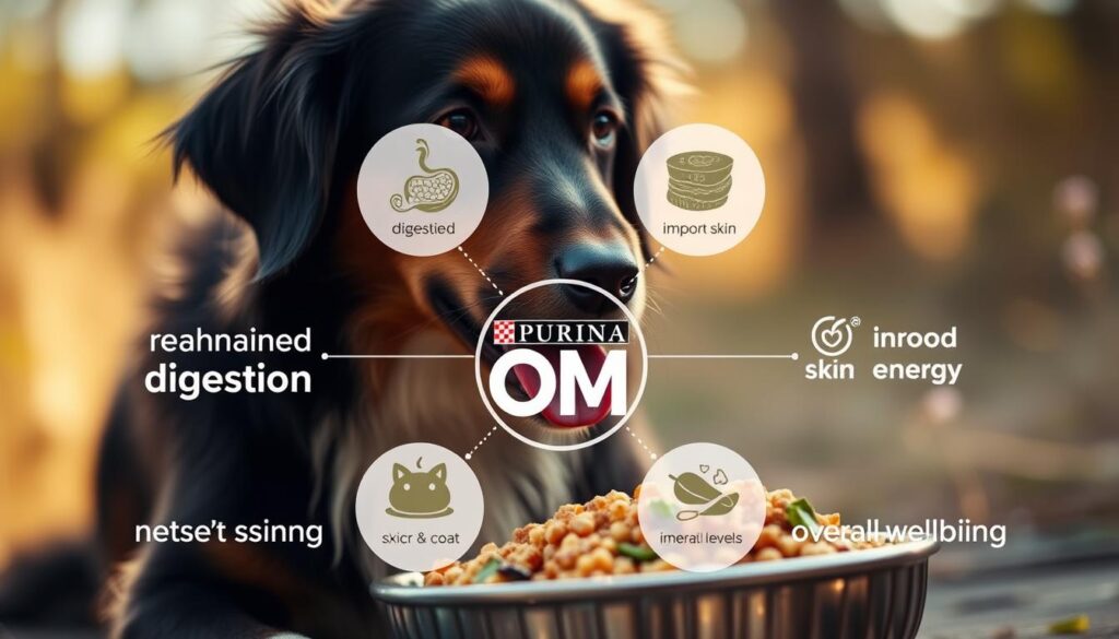 Purina OM benefits